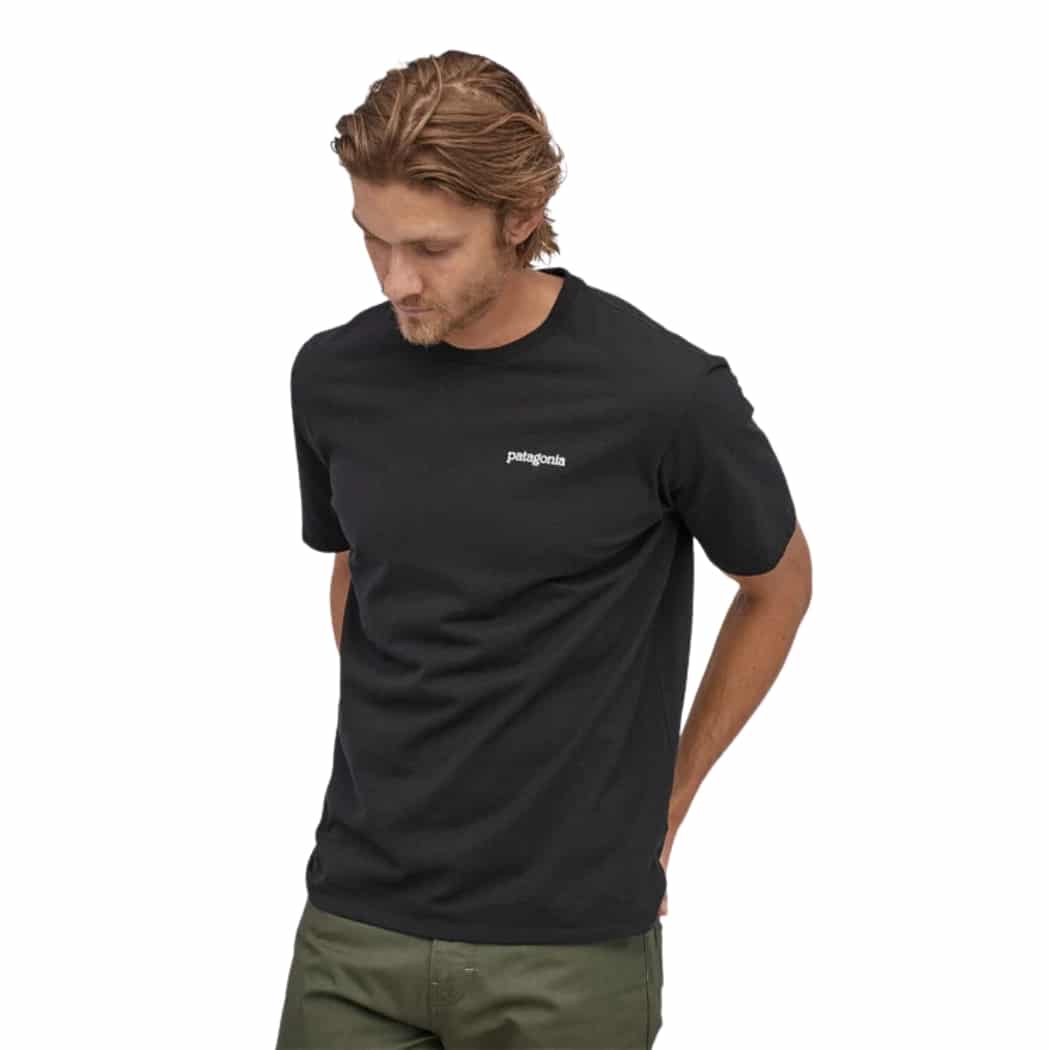 Patagonia M's Fitz Roy Horizons Responsibility Tee Black