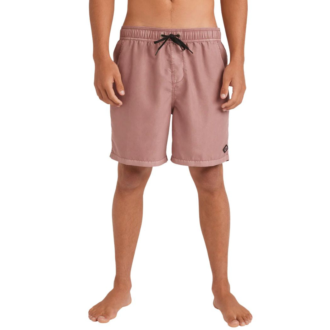 Billabong All Day Overdye Boardshort Dusty Rose