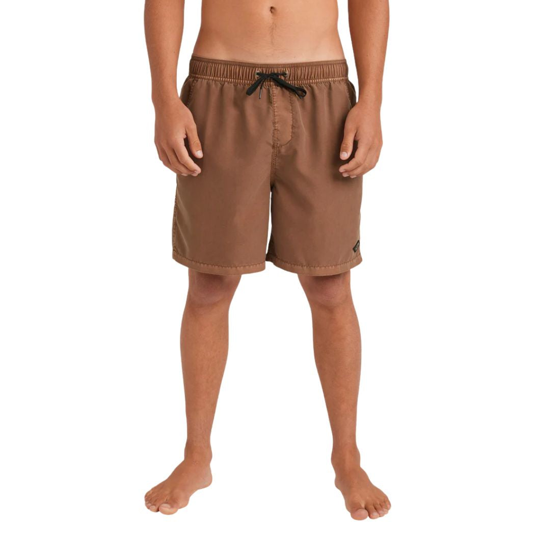 Billabong All Day Overdye Boardshort Tobacco
