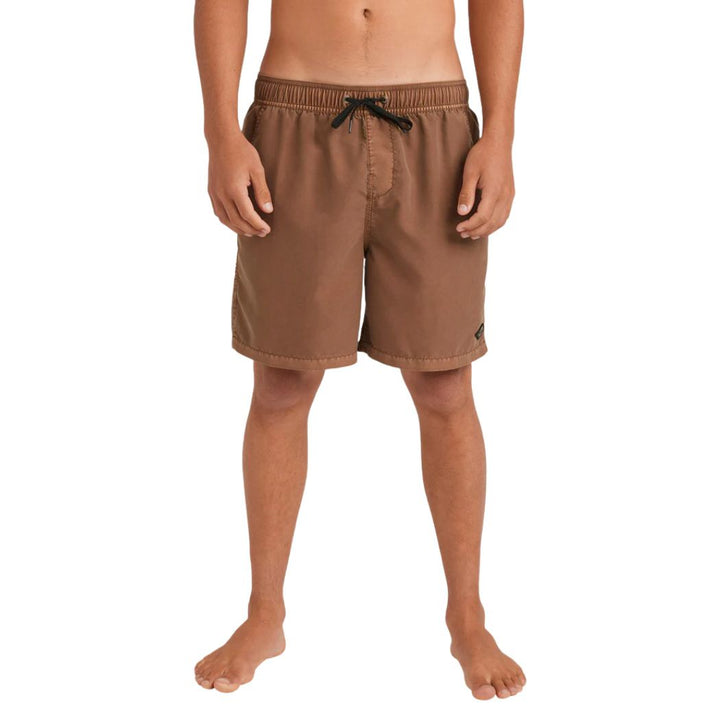 Billabong All Day Overdye Boardshort Tobacco