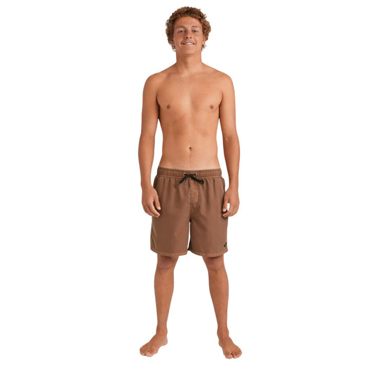 Billabong All Day Overdye Boardshort Tobacco