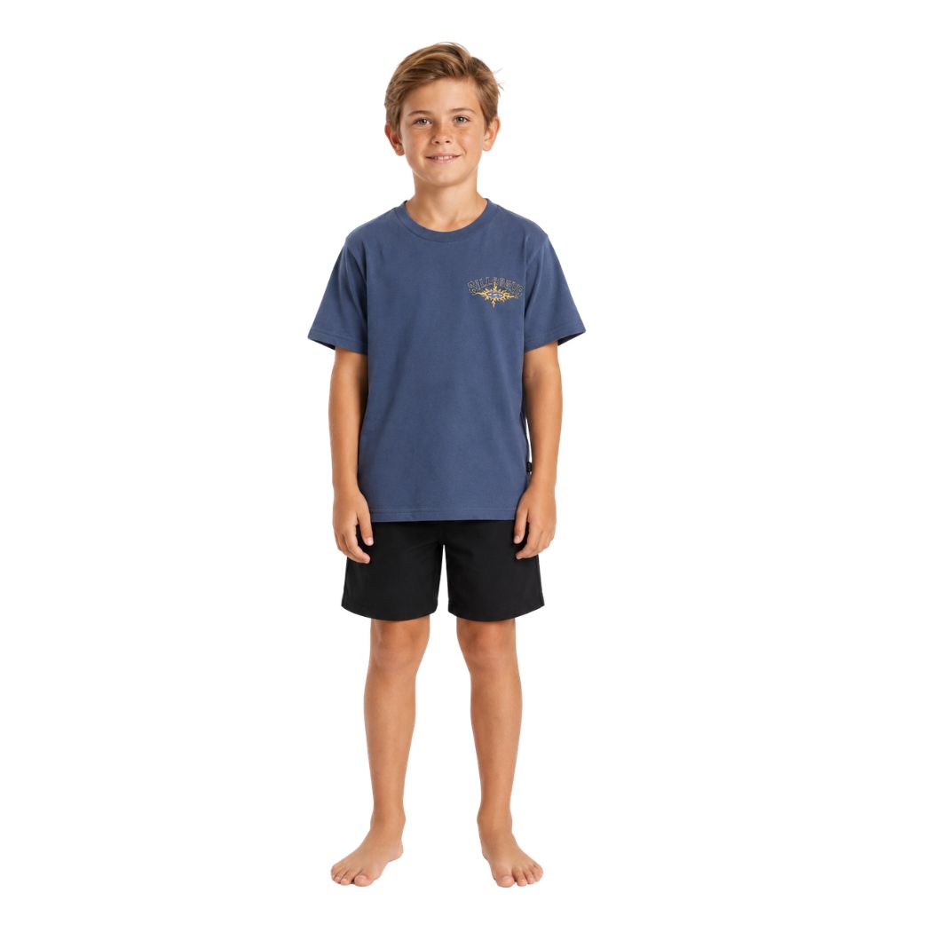 Billabong Boys Flame Arch Tee Slate Blue