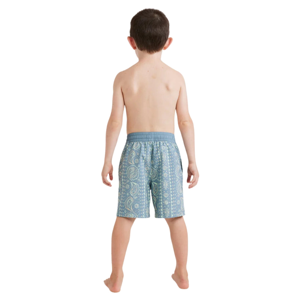 Billabong Boys Good Times Layback Washed Blue