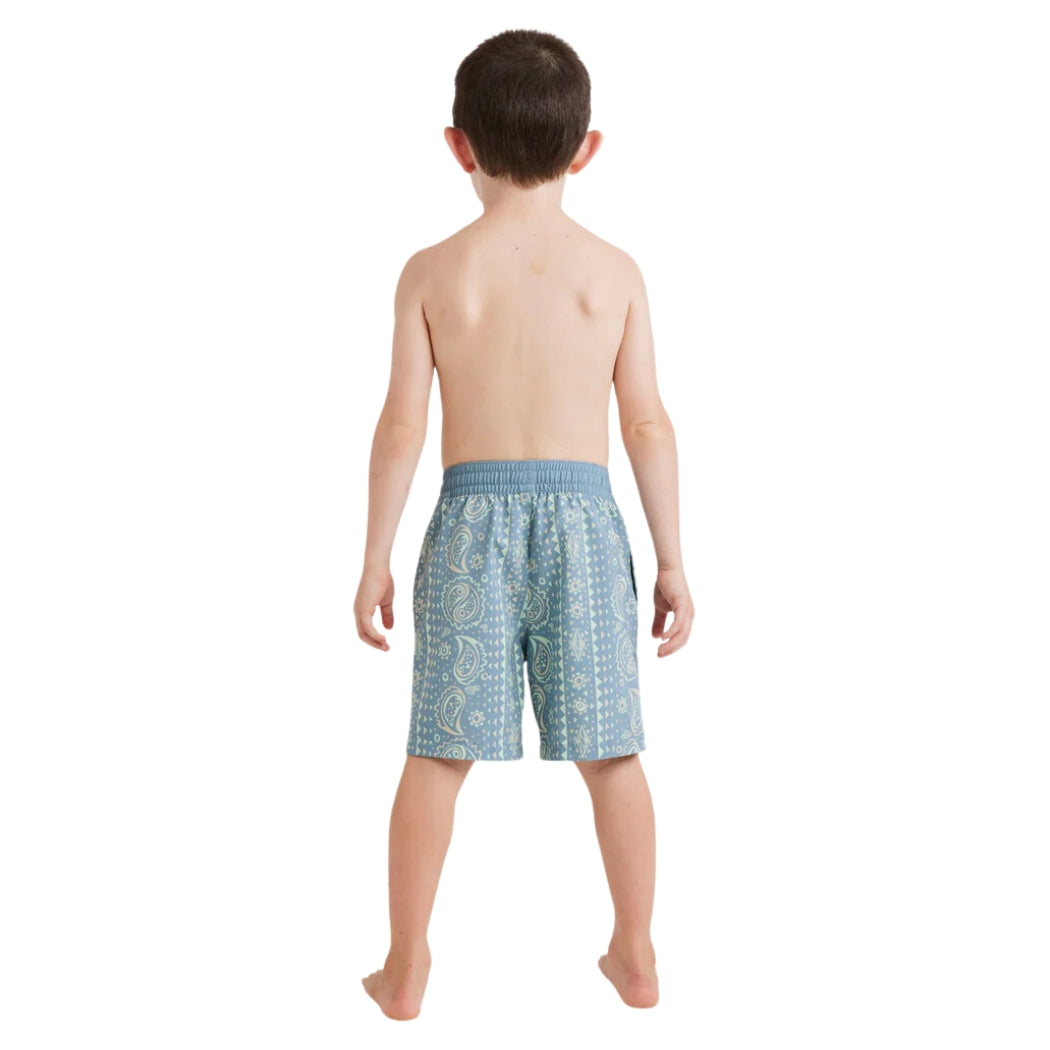 Billabong Boys Good Times Layback Washed Blue