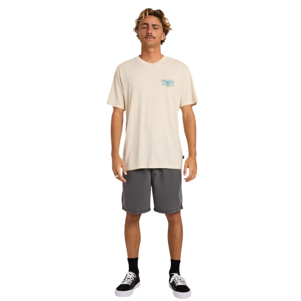 Billabong Heritage Arch Wave Wash Premium Tee Oatmeal
