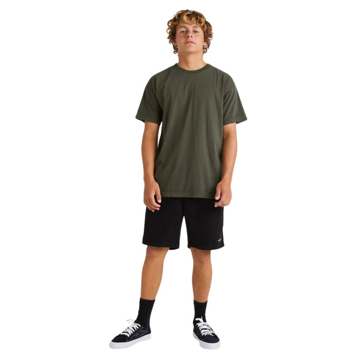Billabong Premium Wave Wash Tee Seaweed