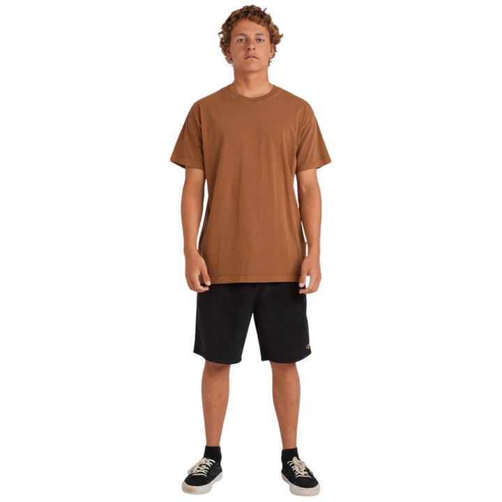 Billabong Premium Wave Wash Tee Tobacco