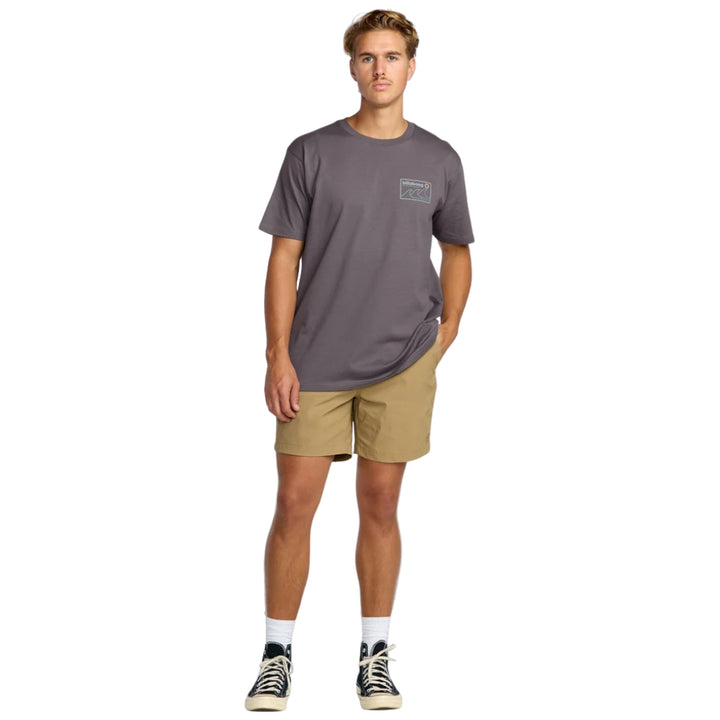 Billabong Range Adiv Tee Grey Violet