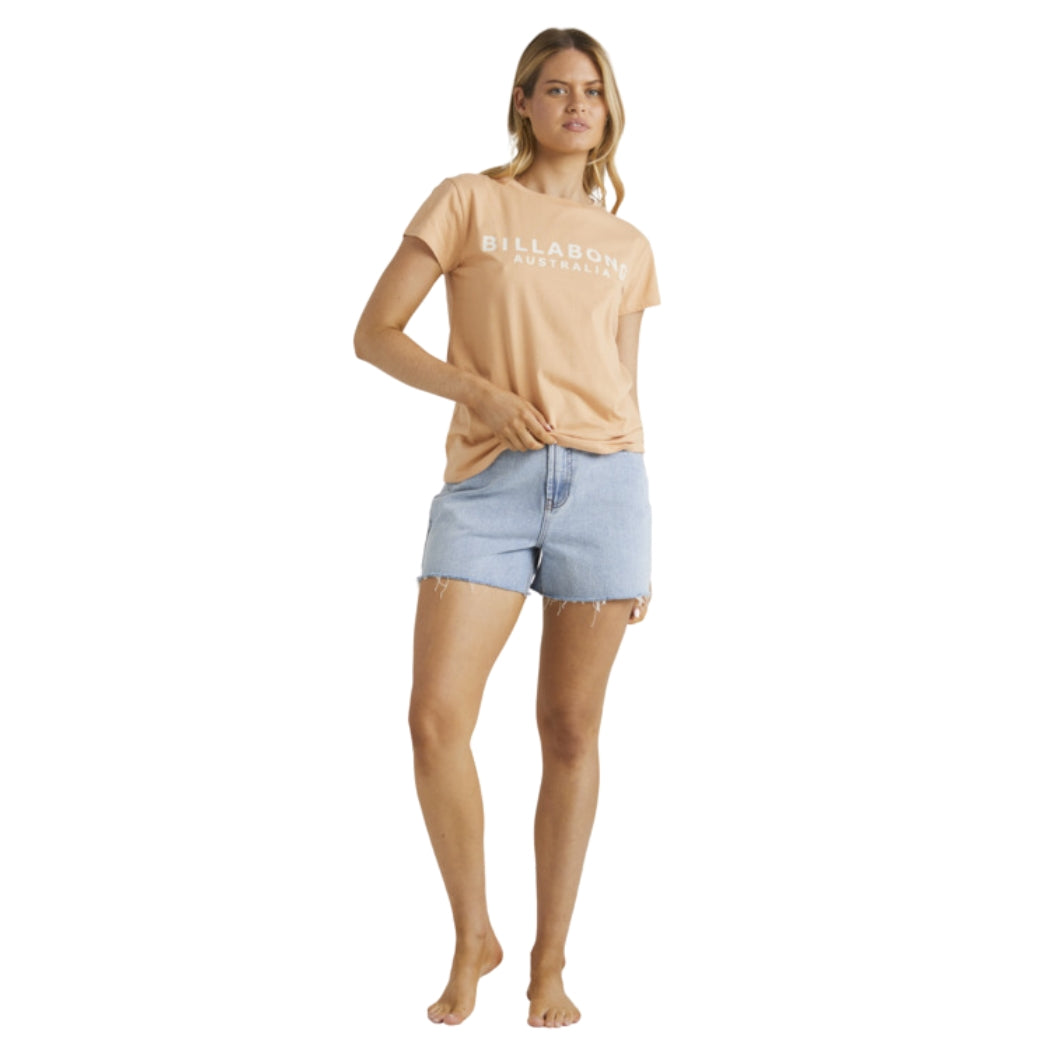 Billabong Society Tee Baked Clay