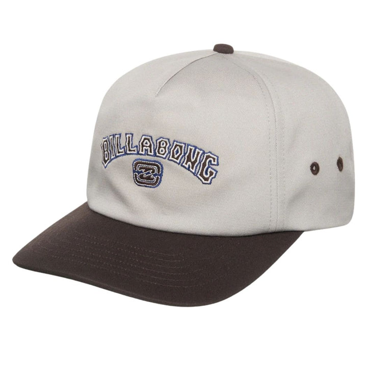 Billabong Throwback Strapback Silver