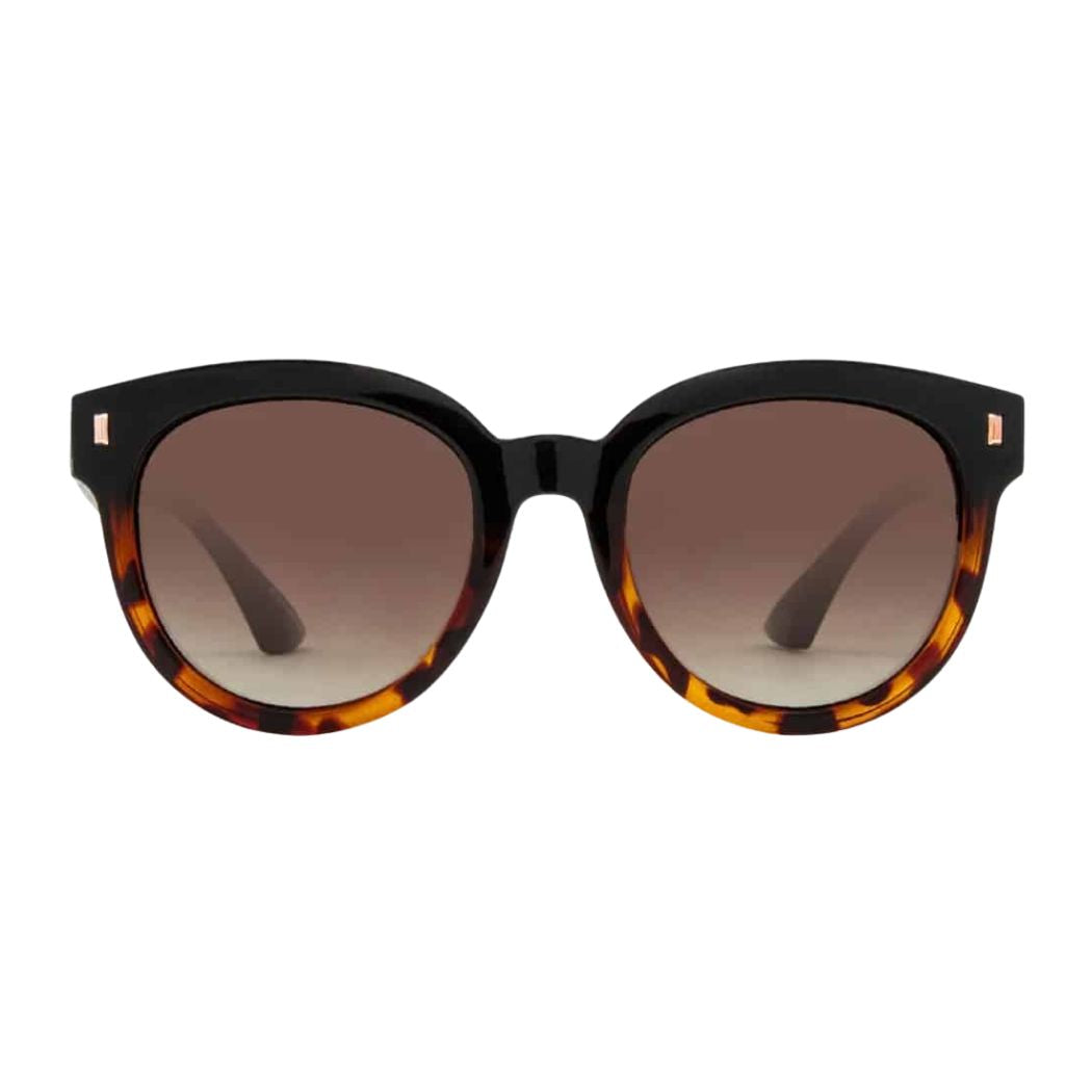 Carve Harpo Black Tort Brown Polar