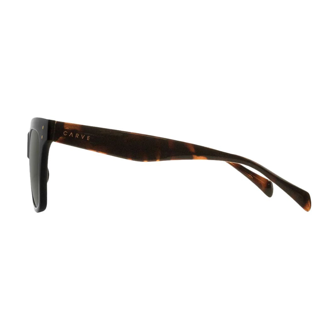 Carve Leopold Gloss Black Muted Tort Temples Grey