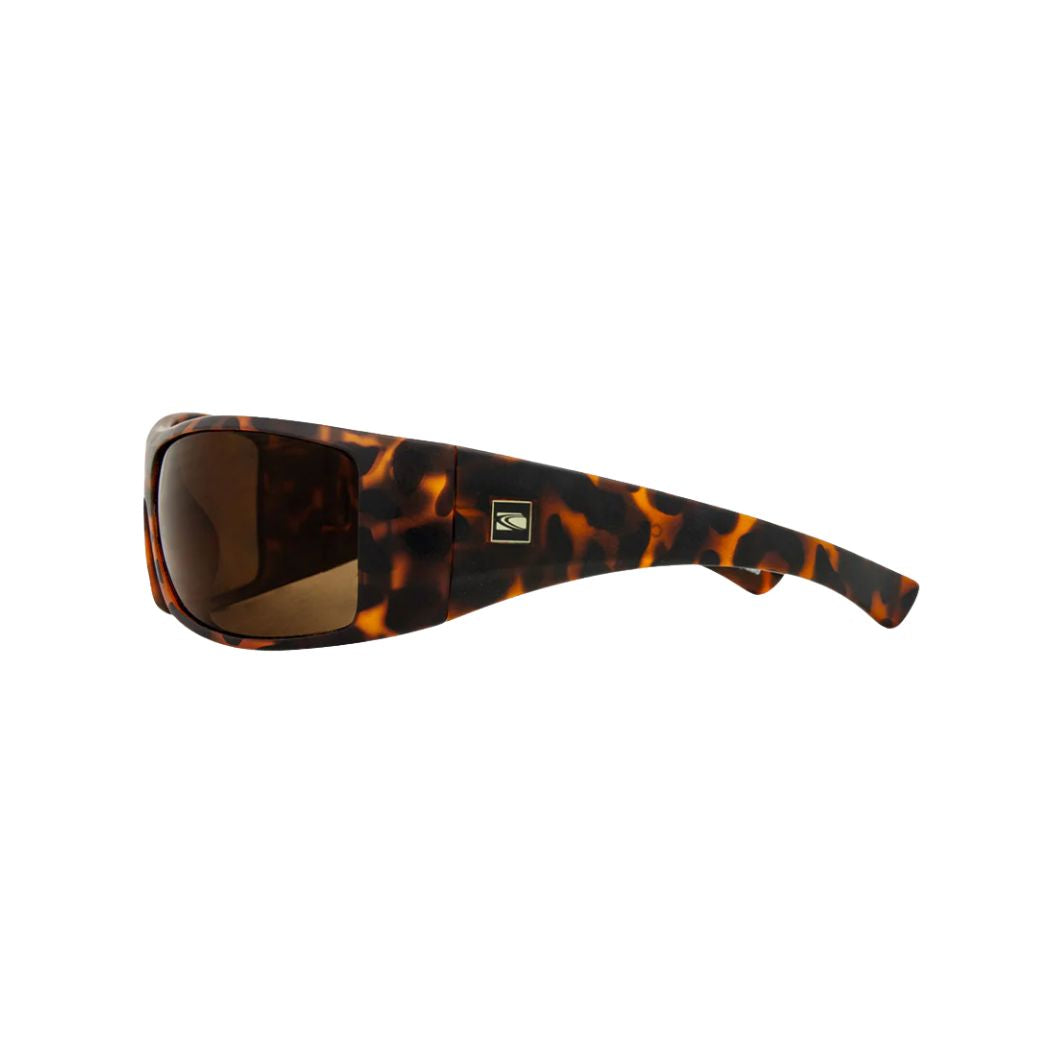Carve Wolfpak Tort Polar Sunglasses