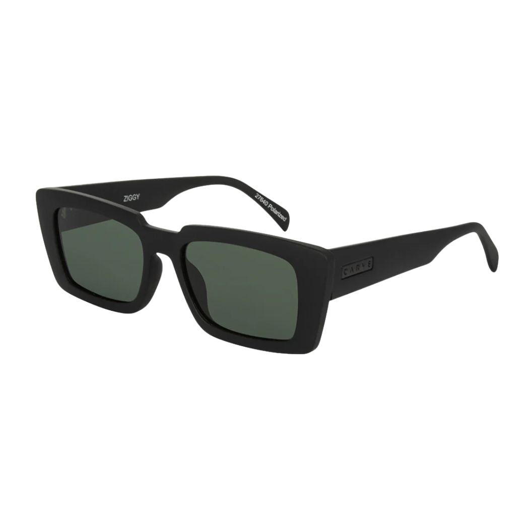 Carve Ziggy Matte Black Green Polar Lens