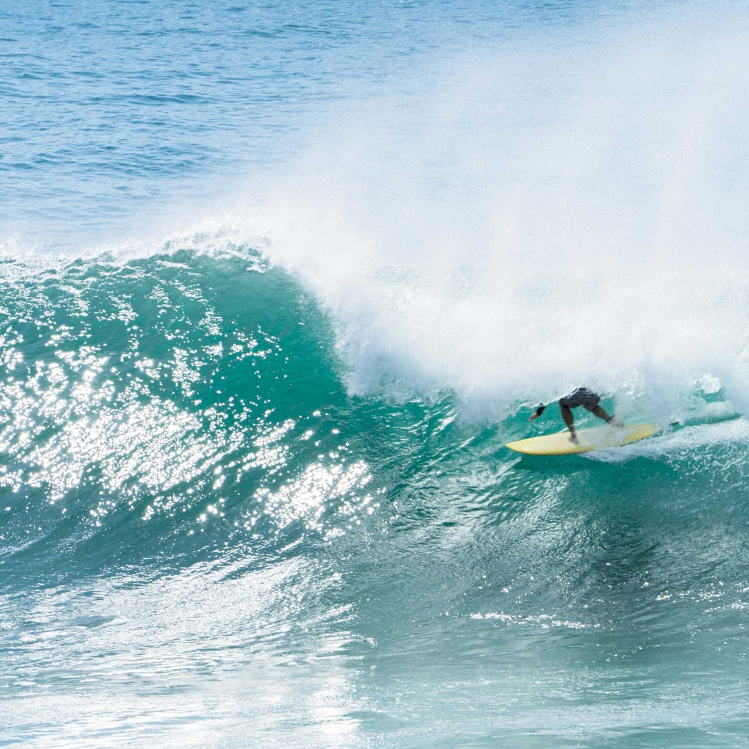 ECS Forries Single PU 7'6 Blue