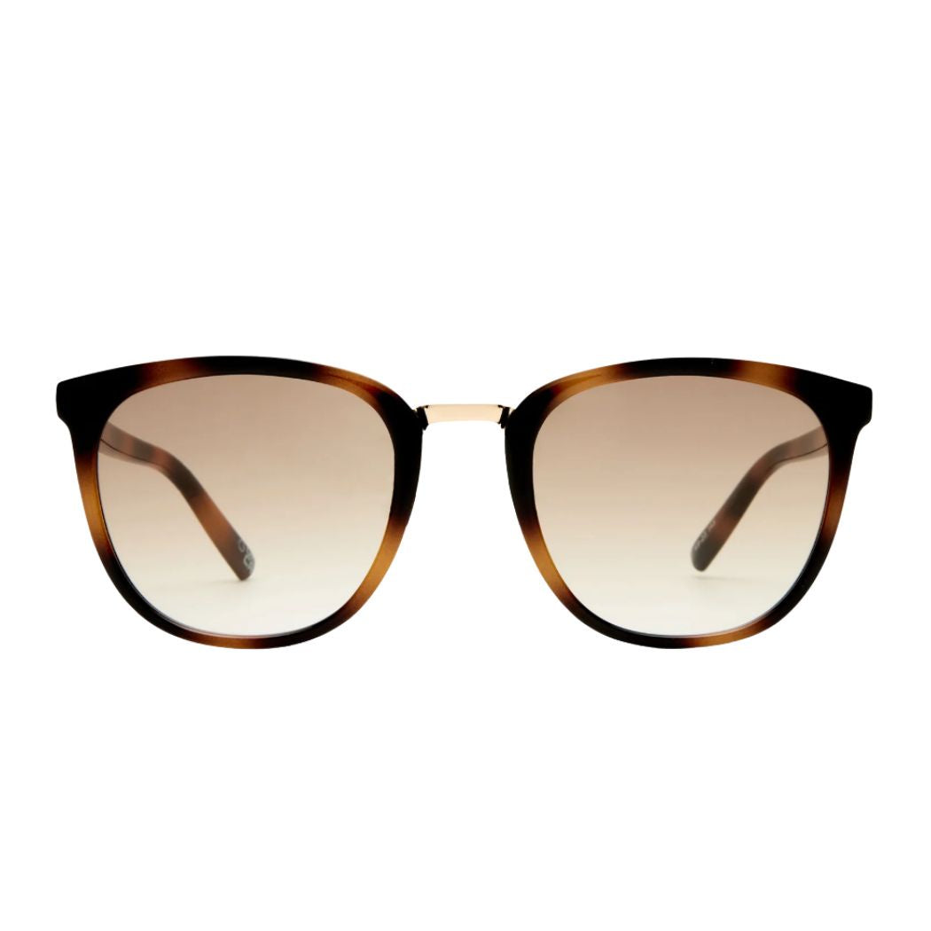 Le Specs Eclipse Tort