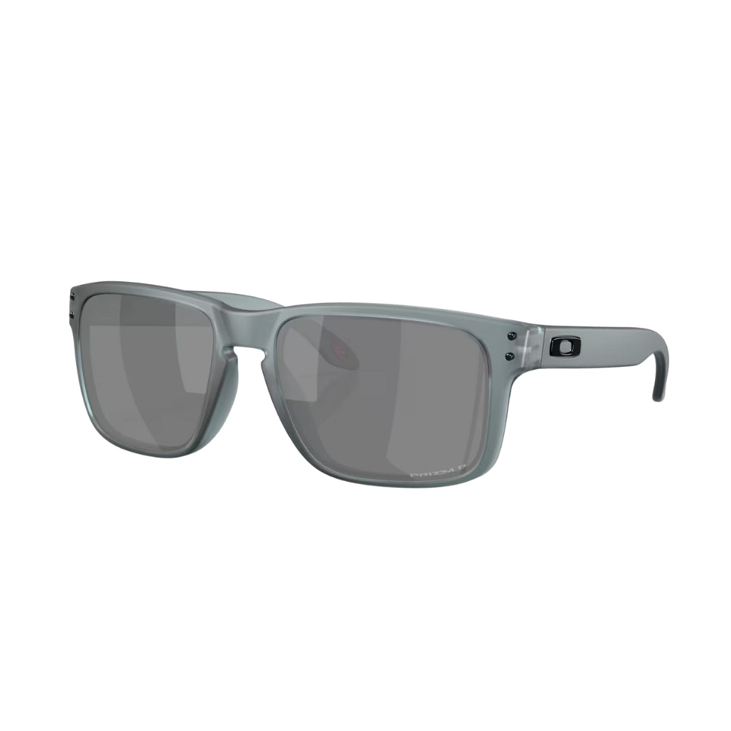 Oakley Holbrook Matte Crystal Black Prizm Black Polar