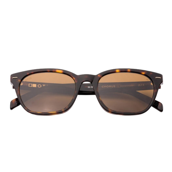 Otis Chorus Eco Havana Ray Brown Polar