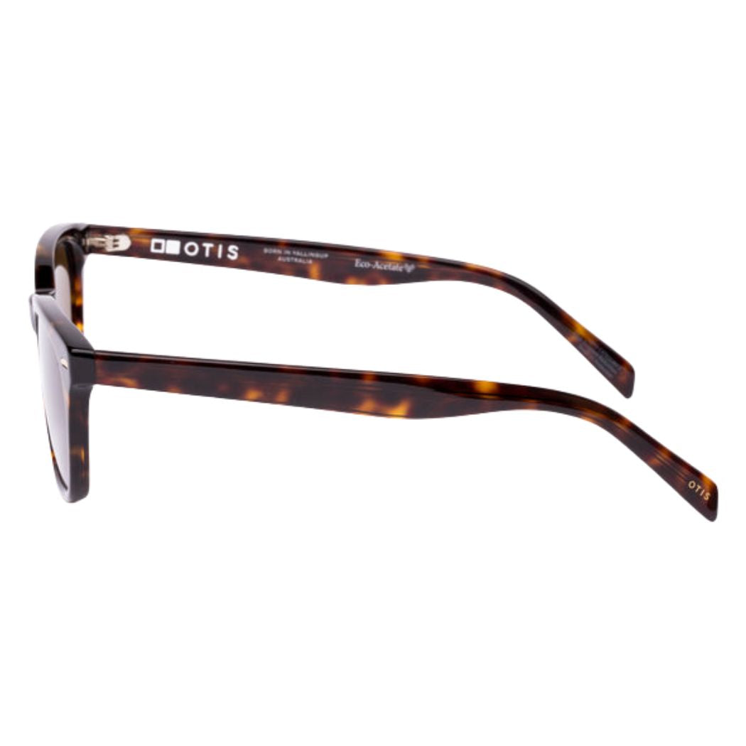 Otis Chorus Eco Havana Ray Brown Polar