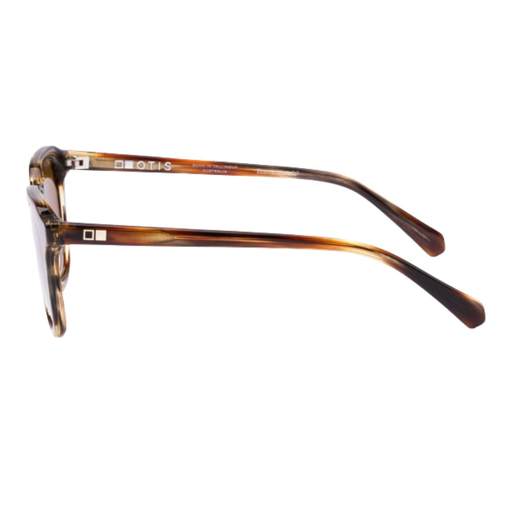 Otis Divide Eco Matte Dark Tort Brown Polar