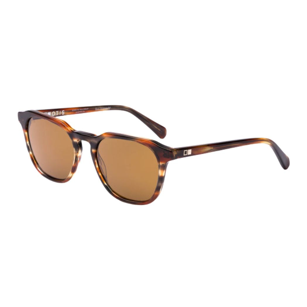 Otis Divide Eco Matte Dark Tort Brown Polar