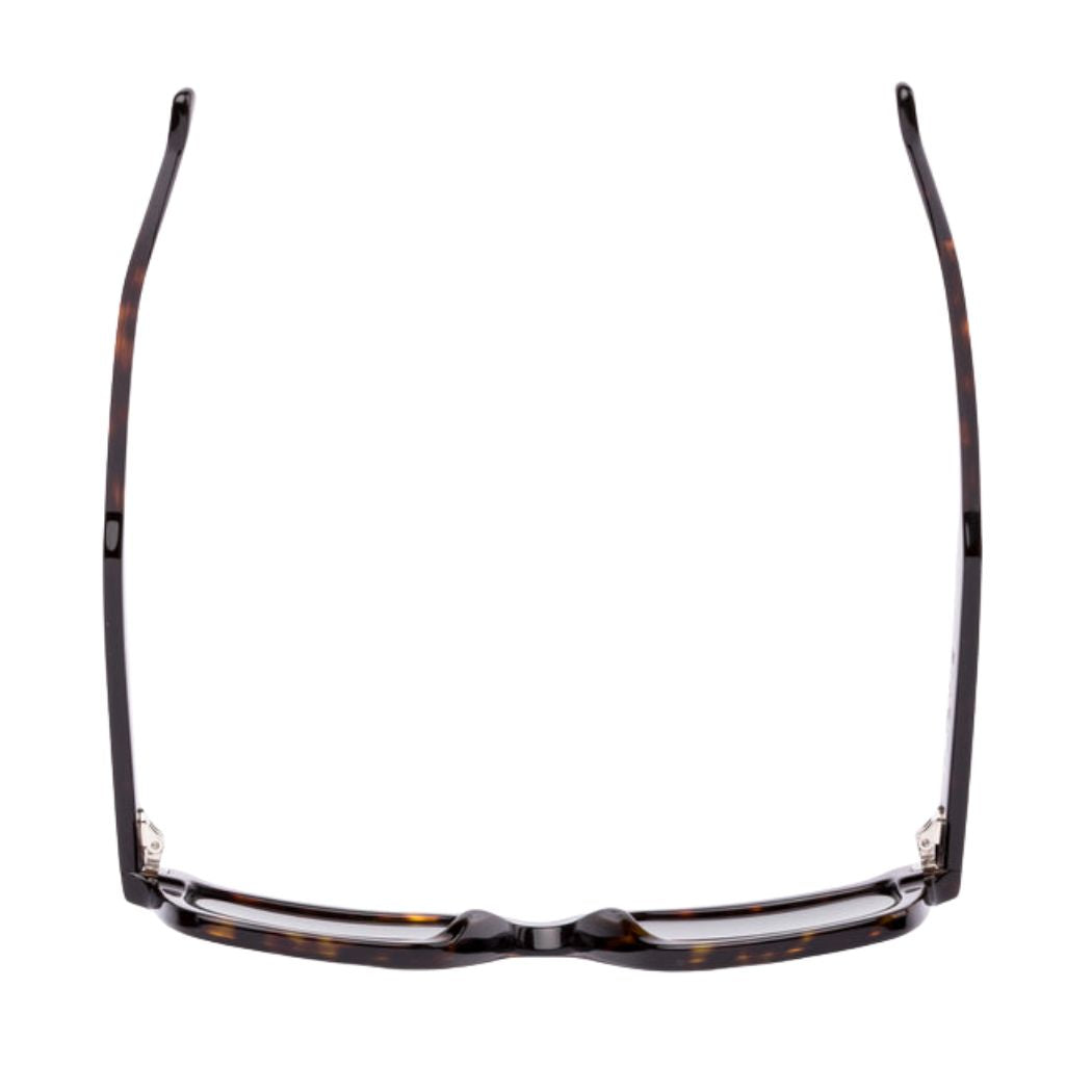 Otis Outbound Eco Havana Ray Grey