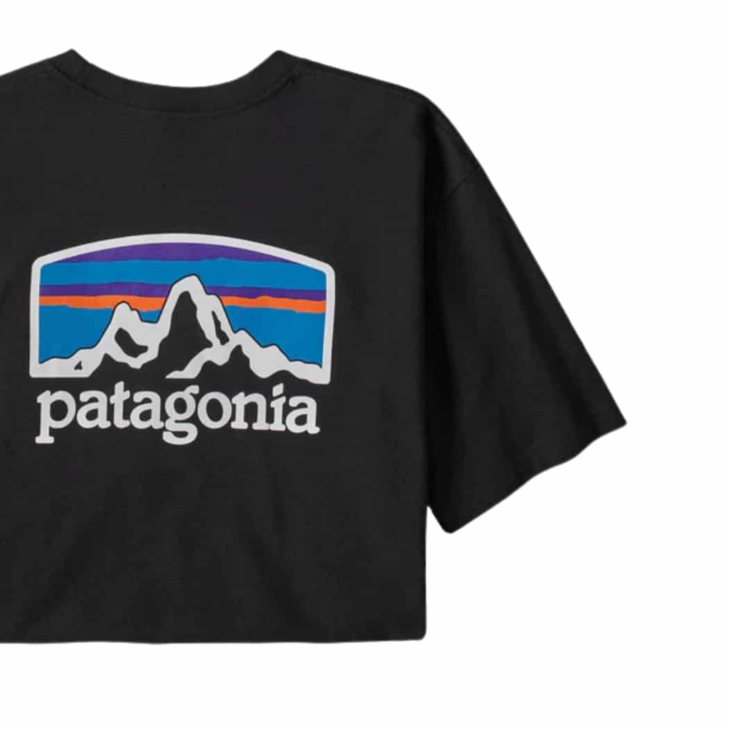patagonia-m-s-fitz-roy-horizons-responsibility-tee-black-jpg