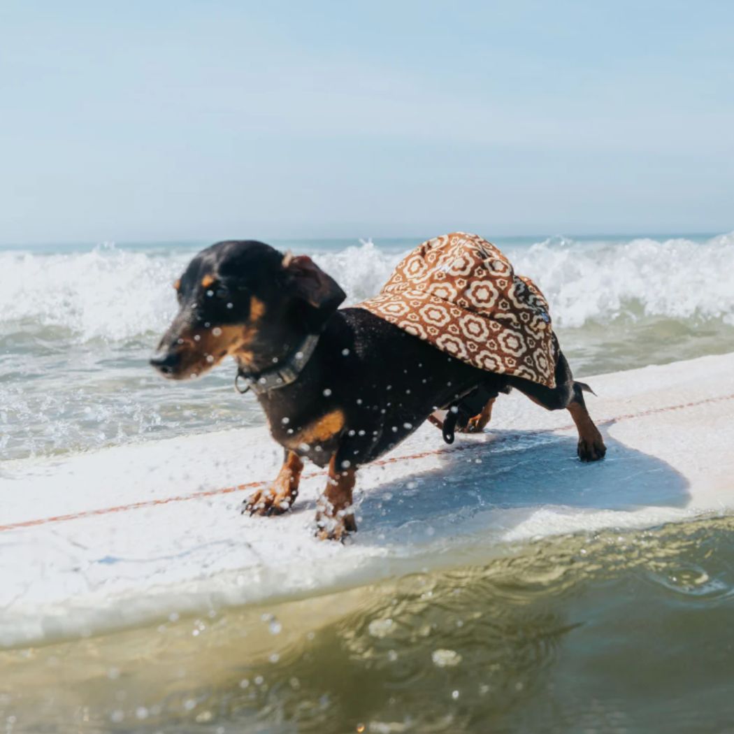 Plow Surf Co Bloomin Groover Surf Bucket