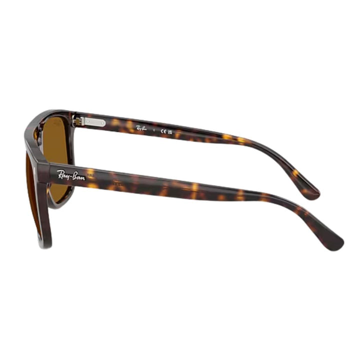 Ray Ban RB2213 Havana Brown