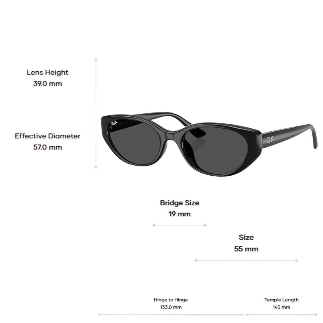 Ray Ban RB4457D Bio Based Black Dark Grey