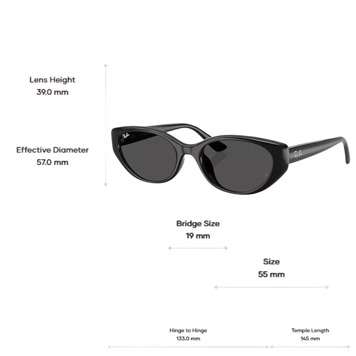 Ray Ban RB4457D Bio Based Black Dark Grey