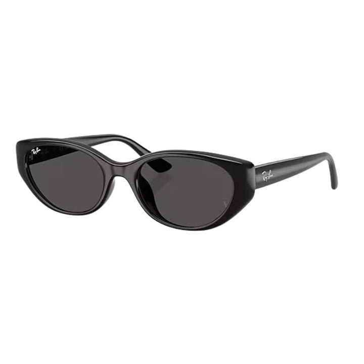 Ray Ban RB4457D Bio Based Black Dark Grey