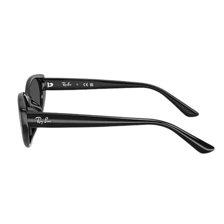 Ray Ban RB4457D Bio Based Black Dark Grey