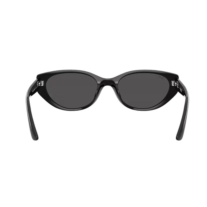 Ray Ban RB4457D Bio Based Black Dark Grey
