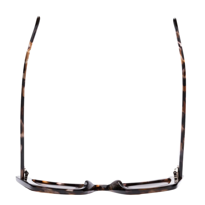 Sito Cult Vision Chestnut Tort Coffee