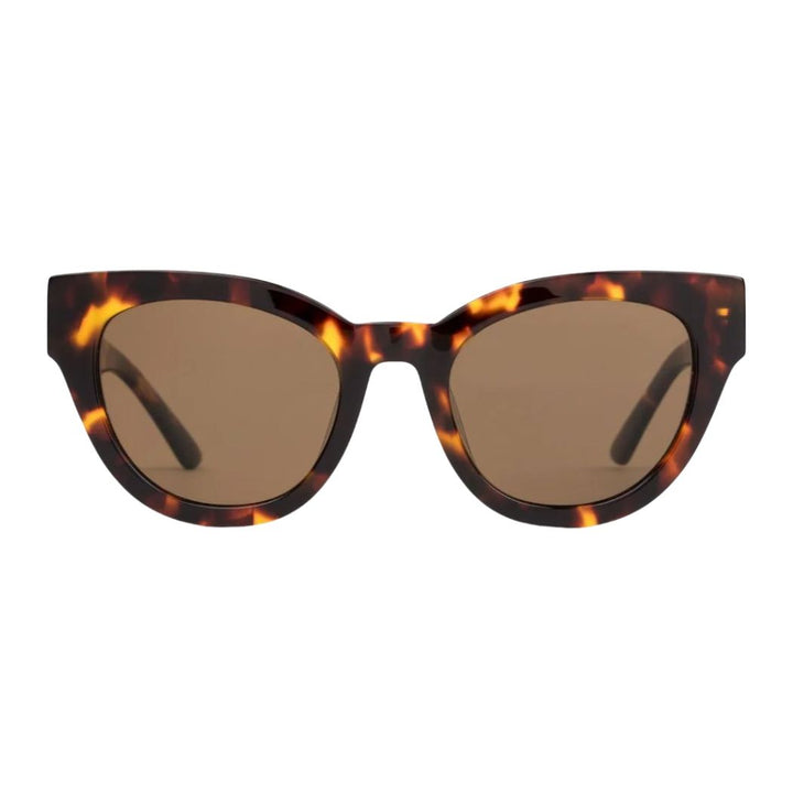 Sito Soul Fusion Maple Tort Brown Polar